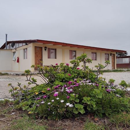 Aparthotel Santa Maria Punta de Choros Rum bild